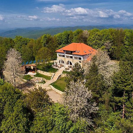 Отель Cetatuia Мэгура Экстерьер фото
