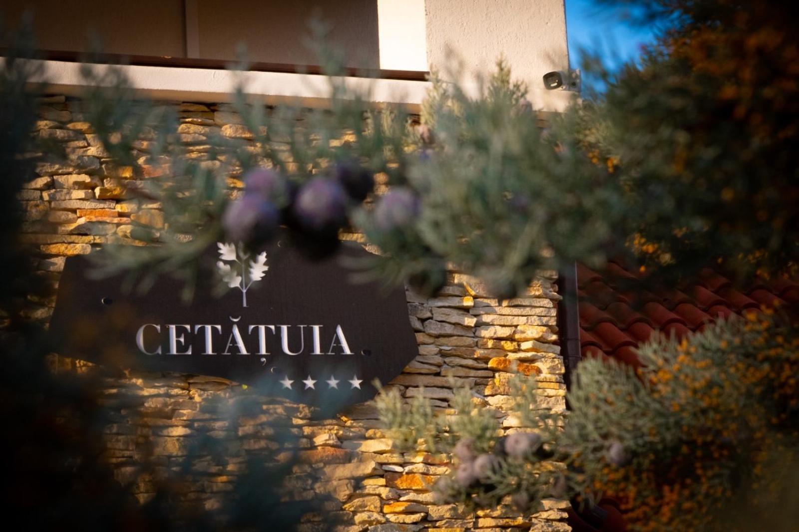 Отель Cetatuia Мэгура Экстерьер фото